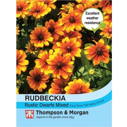 Rudbeckia Rustic Dwarfs Mixed