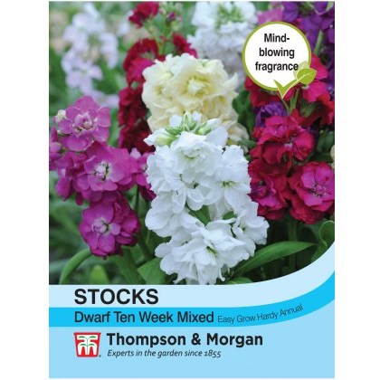Stocks Dwarf Ten Week Mixed