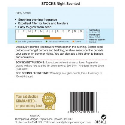 Stocks Night Scented