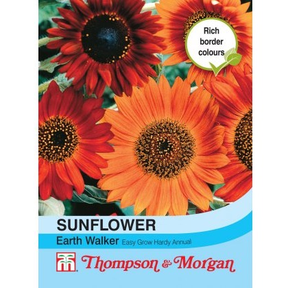 Sunflower Earth Walker