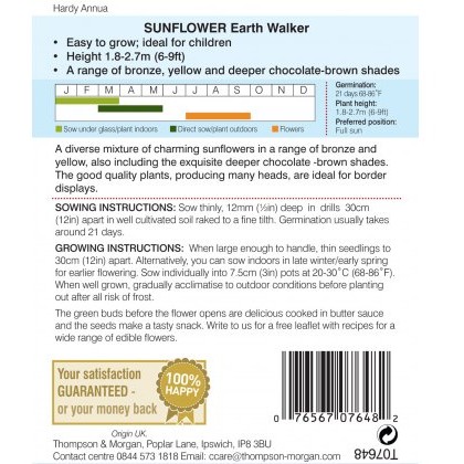 Sunflower Earth Walker
