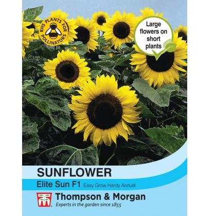 Sunflower Elite Sun F1 Hybrid