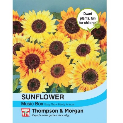 Sunflower Music Box