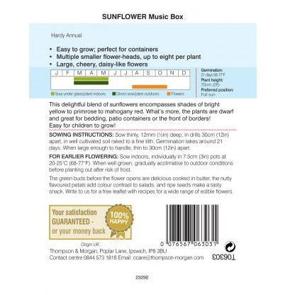 Sunflower Music Box