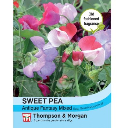 Sweet Pea Antique Fantasy Mixed