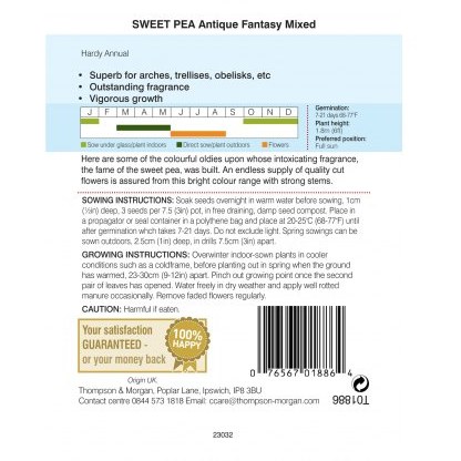Sweet Pea Antique Fantasy Mixed