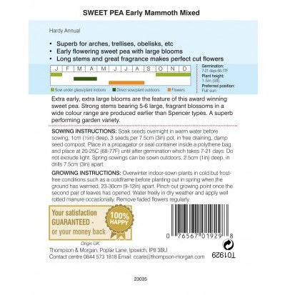 Sweet Pea Early Mammoth Mixed