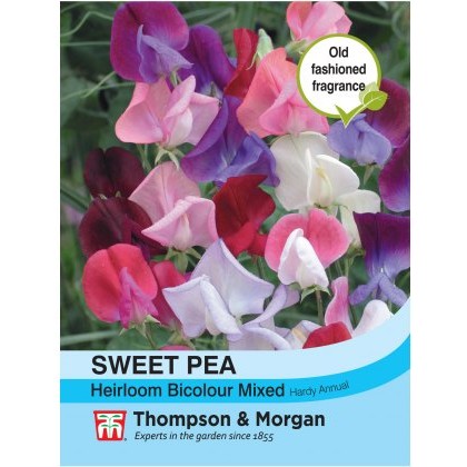 Sweet Pea Heirloom Bicolour Mix