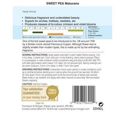Sweet Pea Matucana