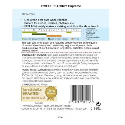 Sweet Pea White Supreme