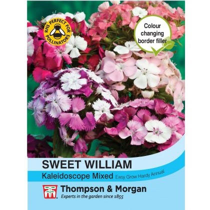 Sweet William Kaleidoscope Mixed