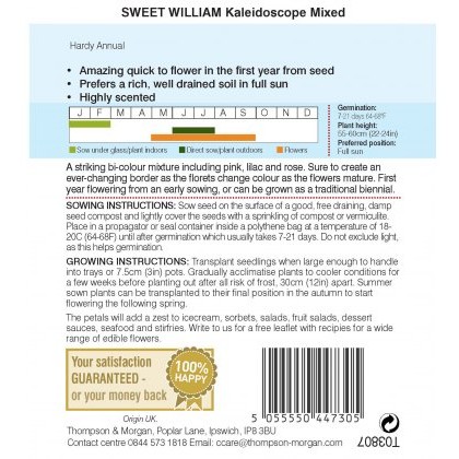 Sweet William Kaleidoscope Mixed