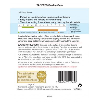 Tagetes Golden Gem