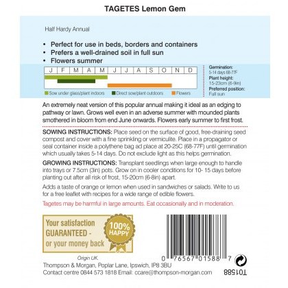 Tagetes Lemon Gem