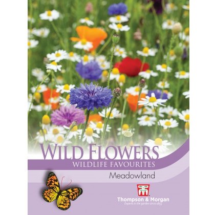 Wild Flower Meadowland Wild Flower Meadowland