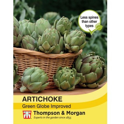 Artichoke Green Globe
