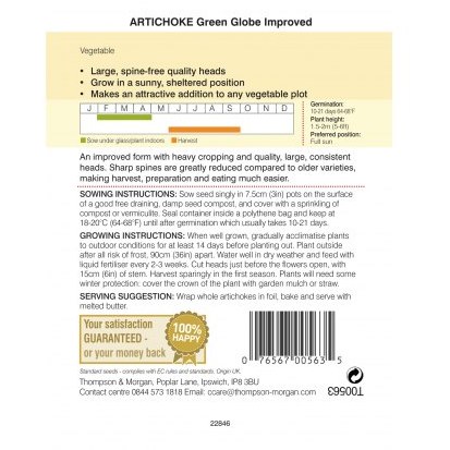 Artichoke Green Globe