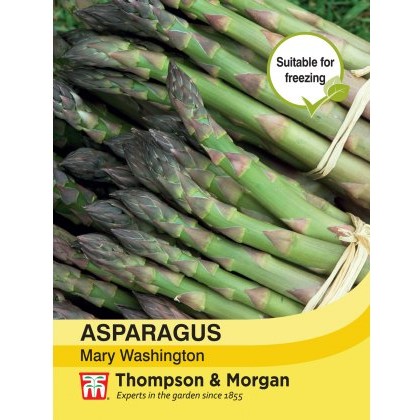 Asparagus Mary Washington