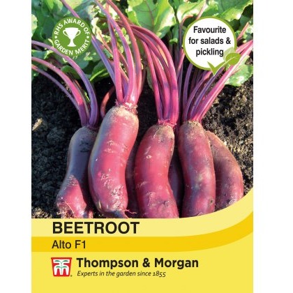 Beetroot Alto F1 Hybrid