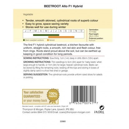 Beetroot Alto F1 Hybrid