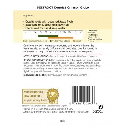 Beetroot Detroit 2 Crimson Globe