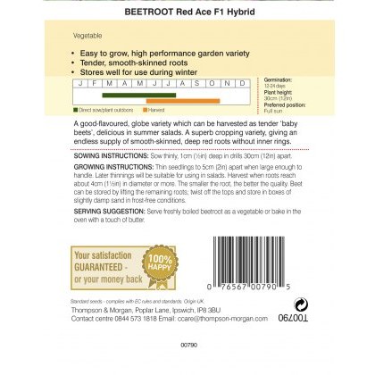 Beetroot Red Ace F1 Hybrid