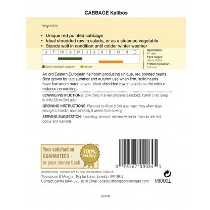 Cabbage Kalibos (Filderkraut) F1 Hybrid