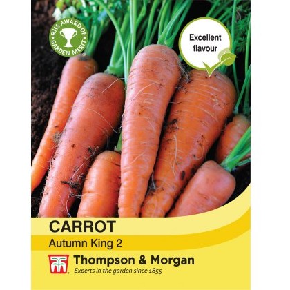 Carrot Autumn King 2
