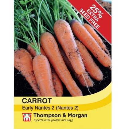 Carrot Early Nantes 2 (Nantes 2)