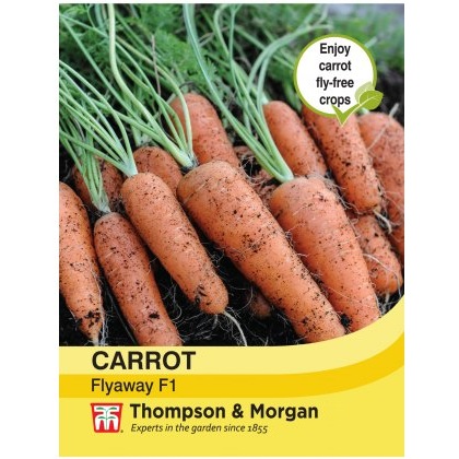 Carrot Fly Away F1 Hybrid