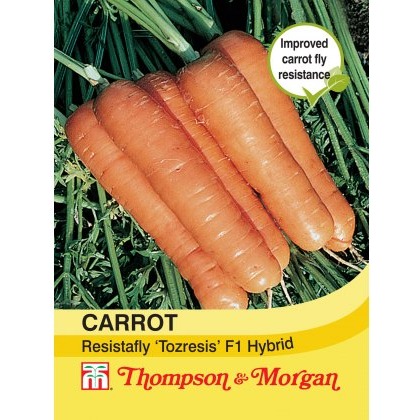 Carrot Resistafly ??Tozresis’ F1 Hybrid