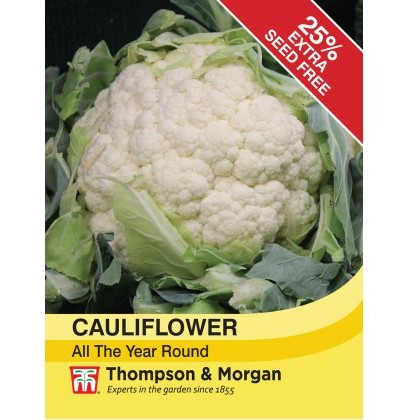 Cauliflower All The Year Round