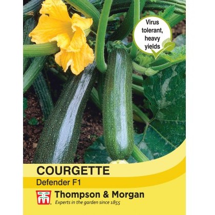 Courgette Defender F1 Hybrid