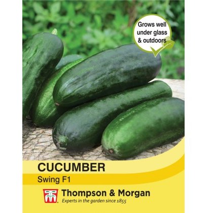 Cucumber Swing F1 Hybrid