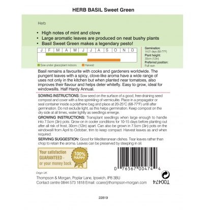 Herb Basil Sweet Green