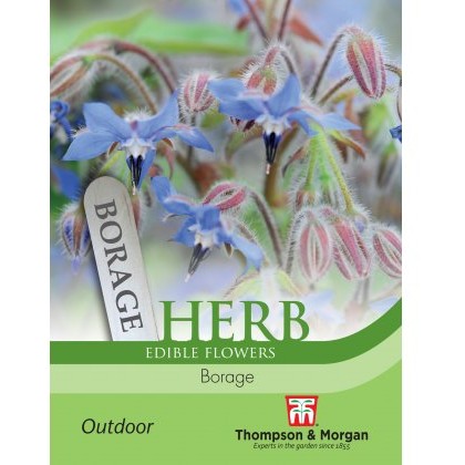 Herb Borage