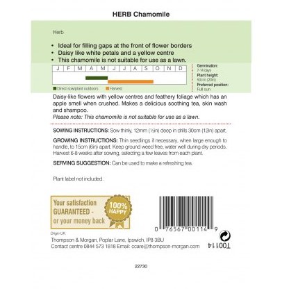 Herb Chamomile