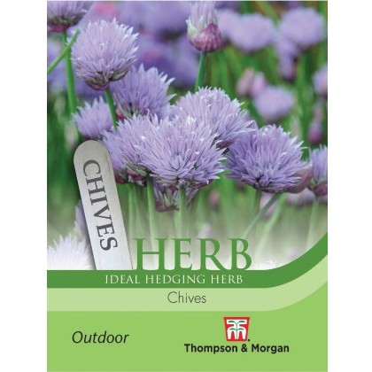 Herb Chives