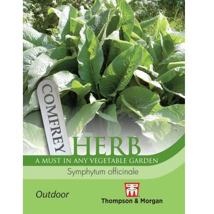 Herb Comfrey
