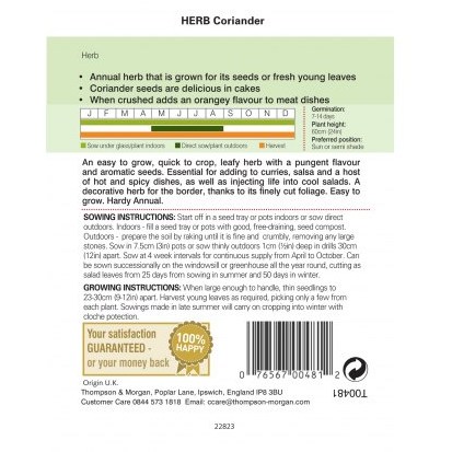 Herb Coriander