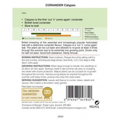 Herb Coriander Calypso