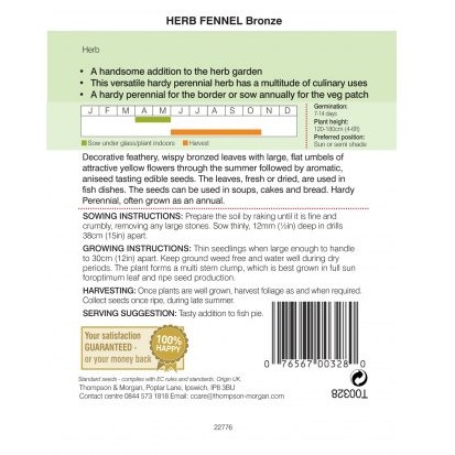 Herb Fennel Bronze