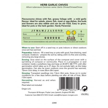 Herb Garlic Chives