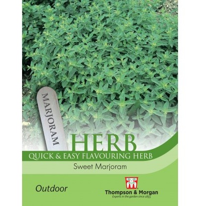 Herb Marjoram Sweet