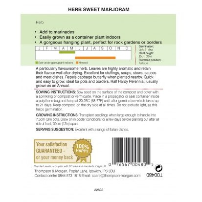 Herb Marjoram Sweet