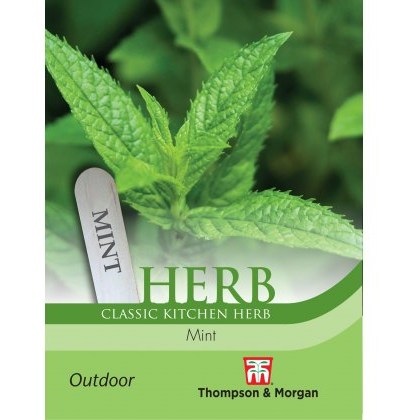 Herb Mint (Peppermint)