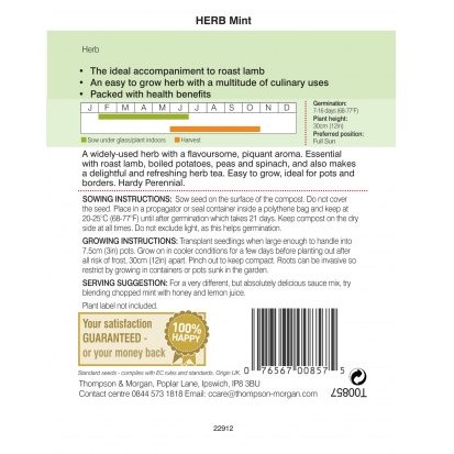 Herb Mint (Peppermint)