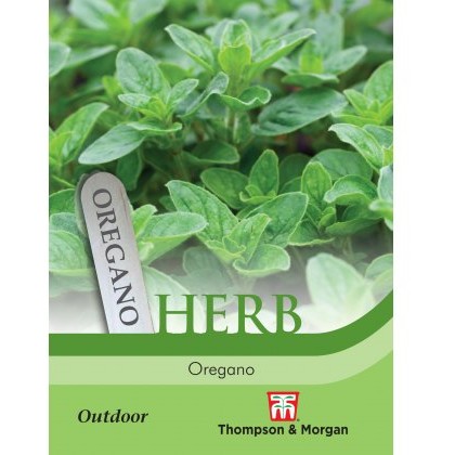 Herb Oregano