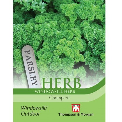 Herb Parsley Champion
