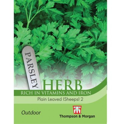 Herb Parsley Plain Leaved (Sheeps) 2